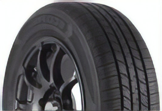 Arroyo Eco Pro AS 215/65R15