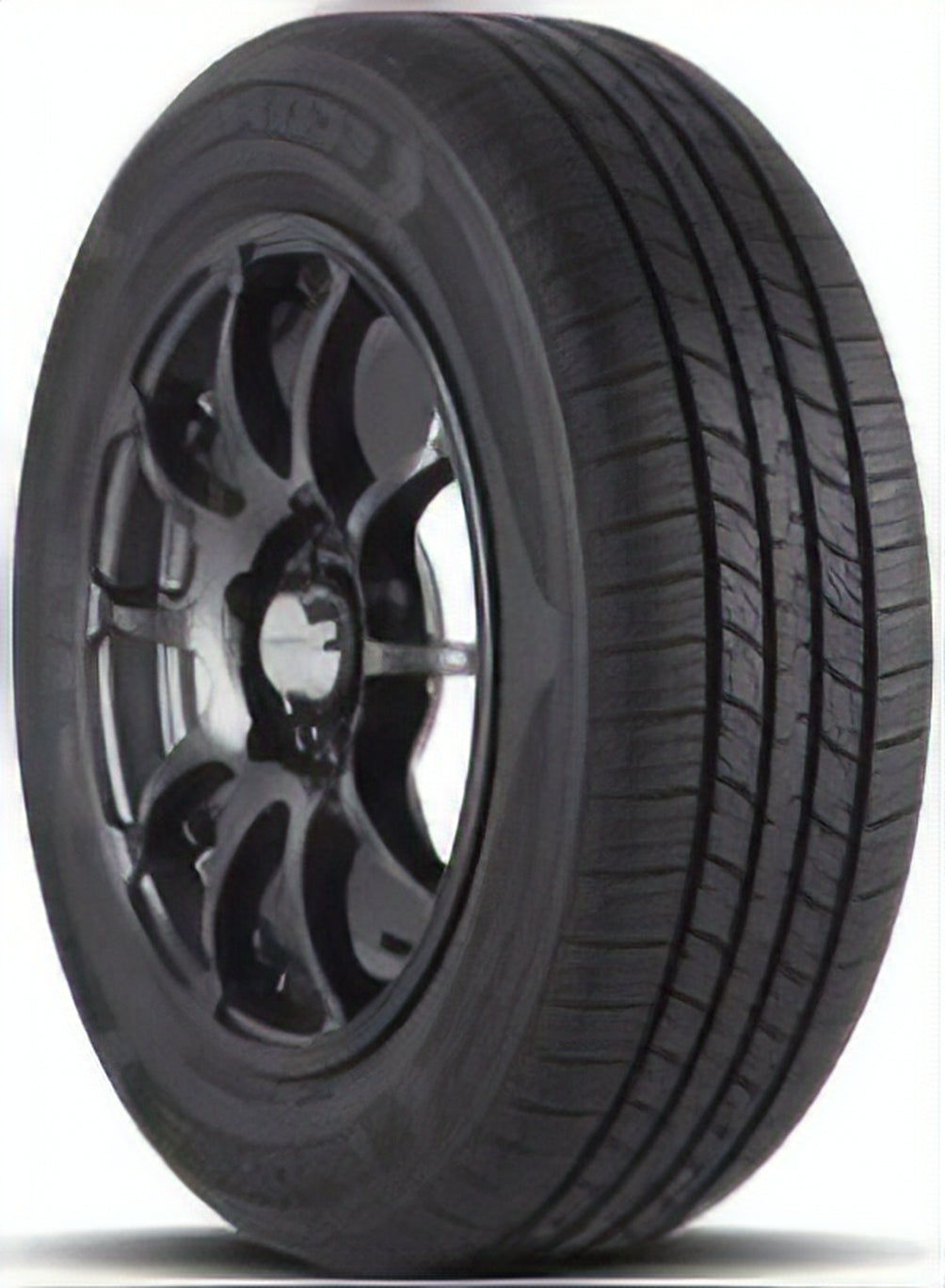 Arroyo Eco Pro AS 205/65R16