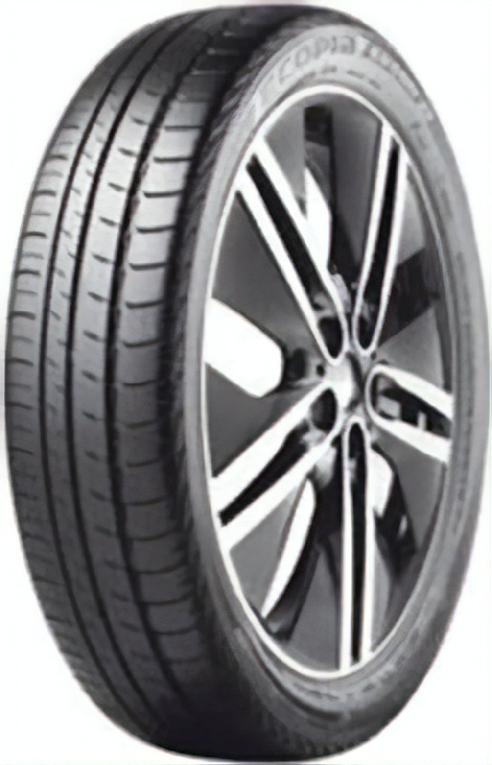 Bridgestone Ecopia EP600 175/60R19