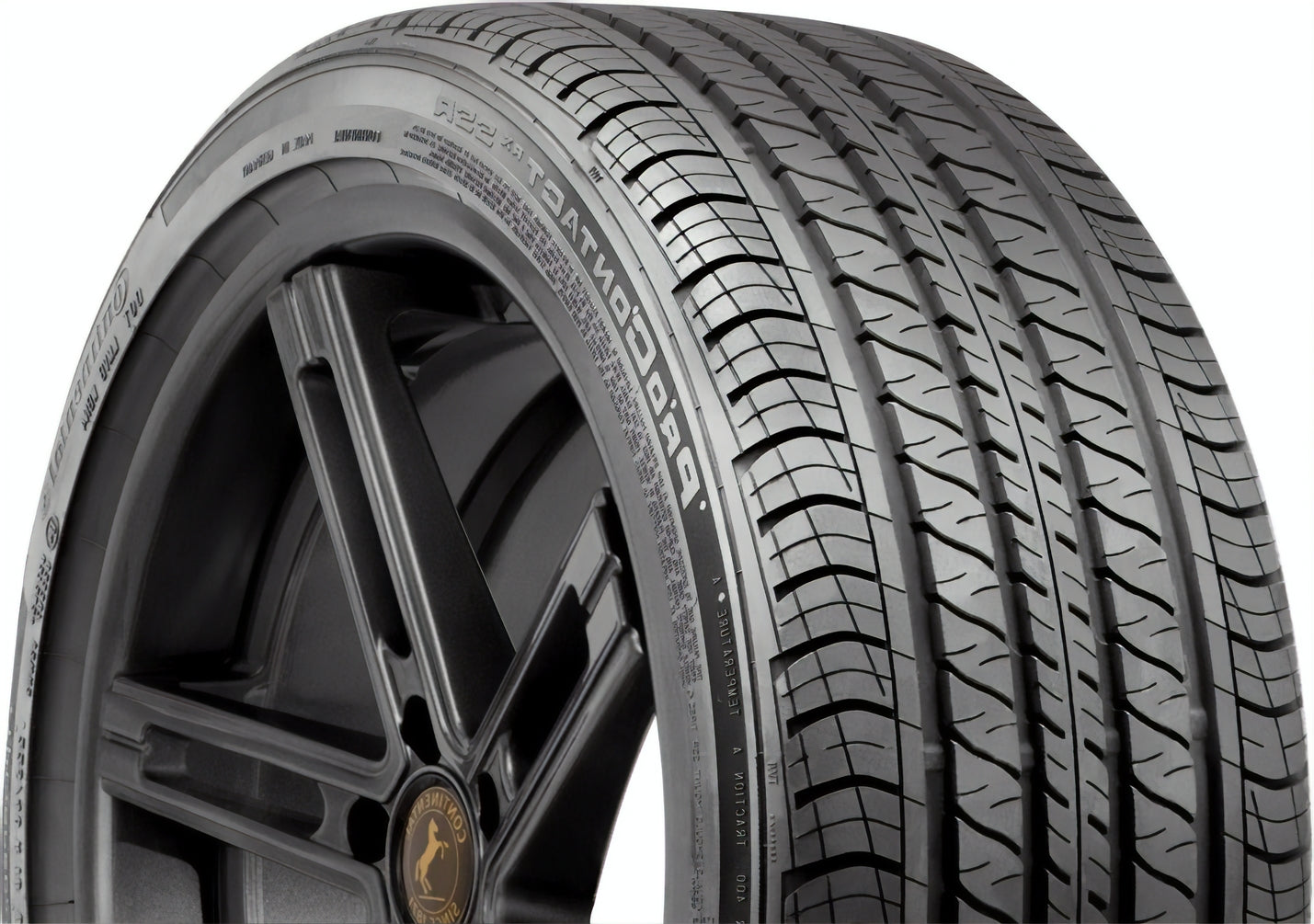 Continental ProContact RX 255/45R19