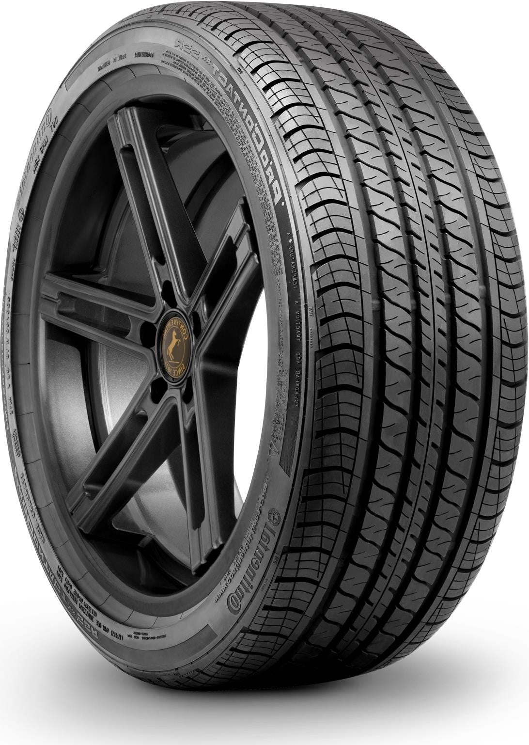 Continental ProContact RX 255/45R19