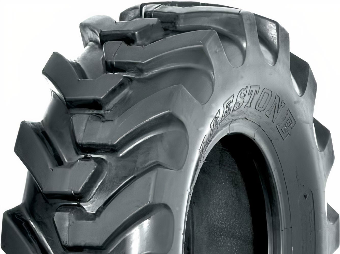 Deestone D302 10.5/80-18