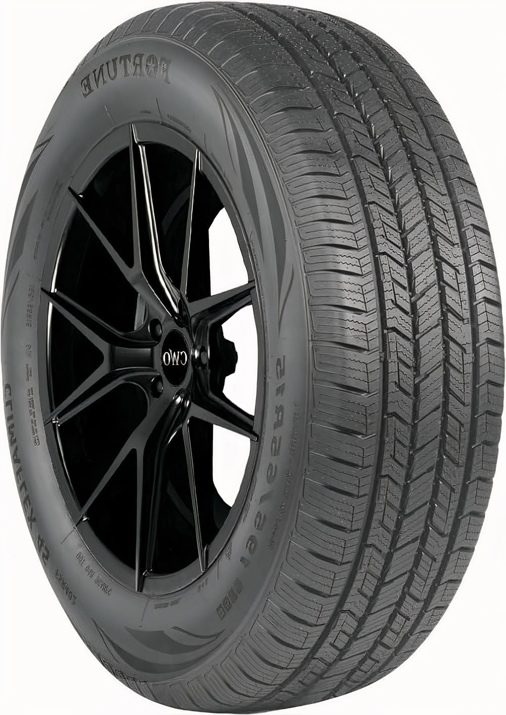 Fortune ClimaFlex 4S FSR402 245/45R19
