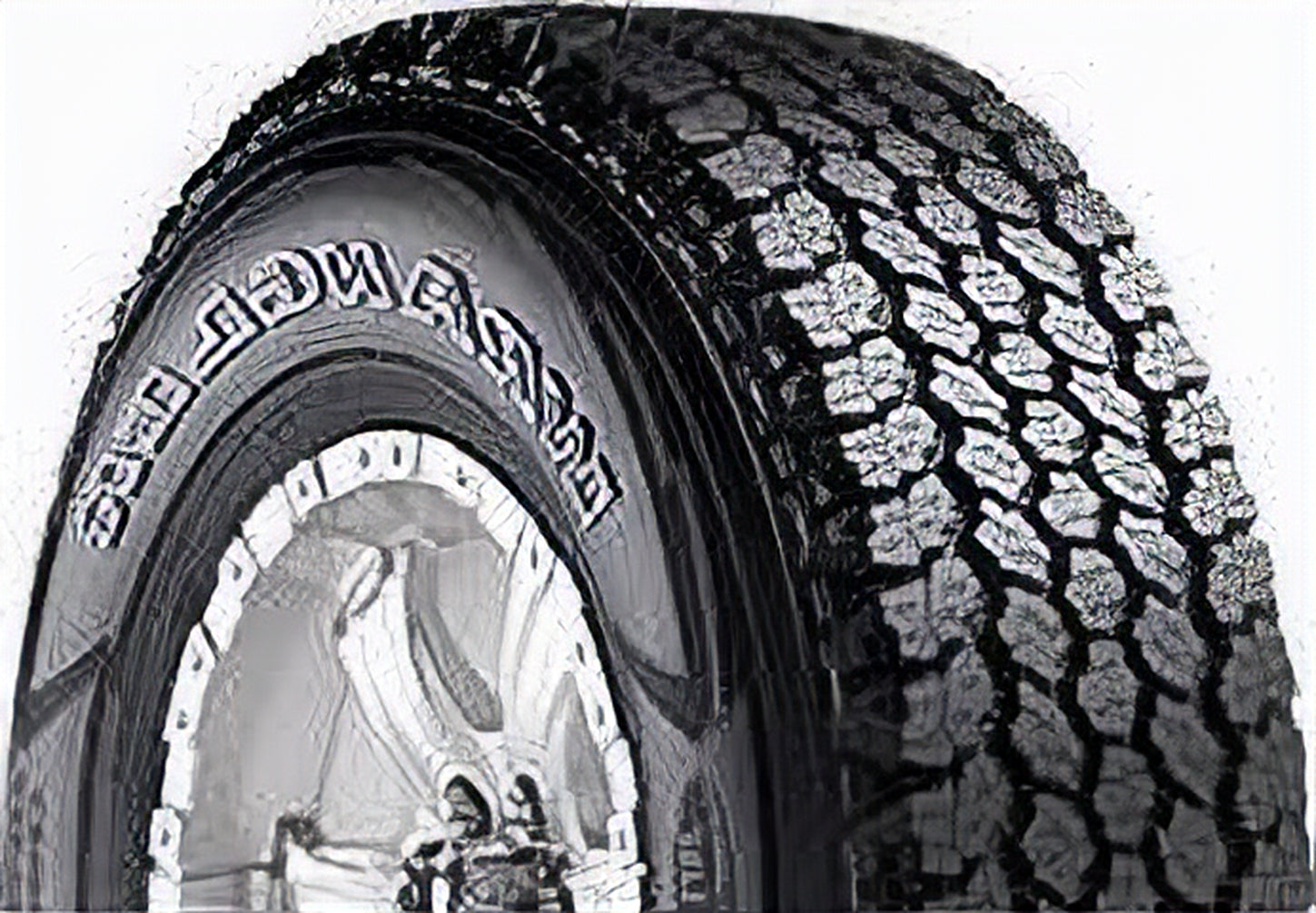 Goodyear Wrangler AT Adventure 255/70R18