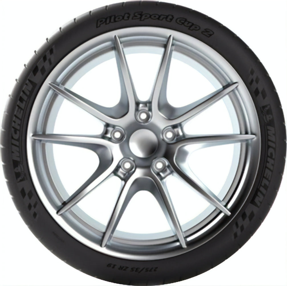 Michelin Pilot Sport Cup 2 315/30R19